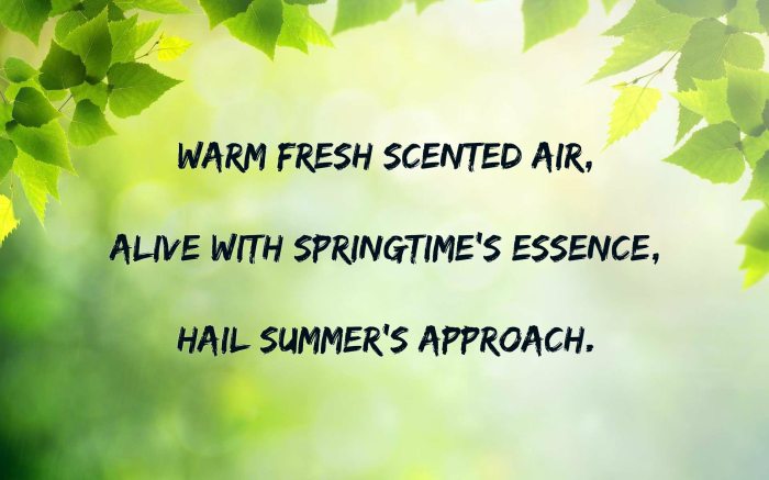 Haiku poetry examples